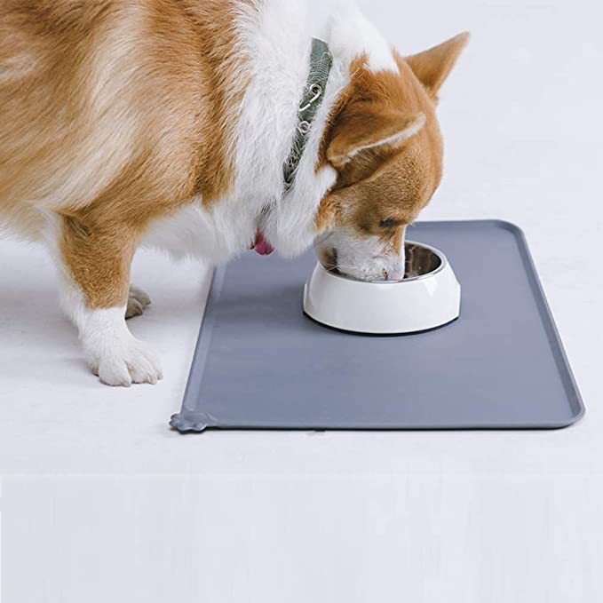 Pet Cat Dog Stainless Steel Feeder