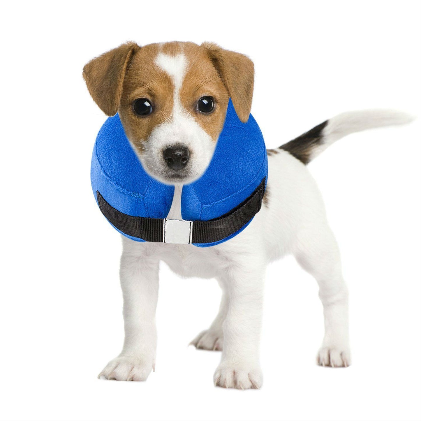 Protective Inflatable Collar for Dogs and Cats