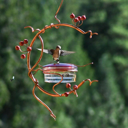 Hanging Garden Self-Service Water Feeder Hummingbird Feeder Window New Hummingbird Feeder