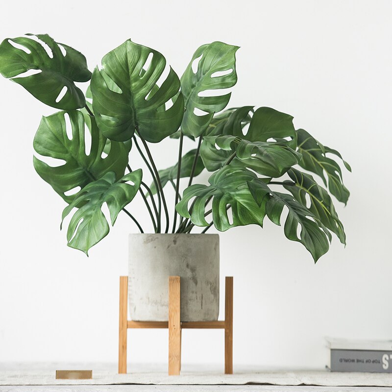 Monstera simulation plant