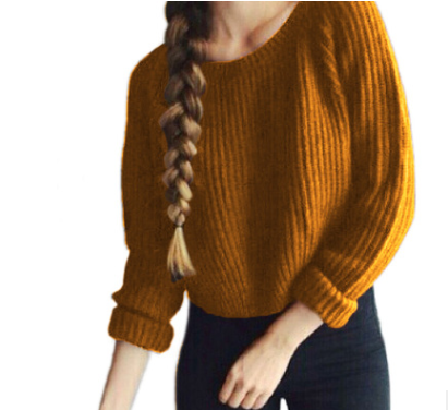 Long Sleeve Classic Sweaters For Women