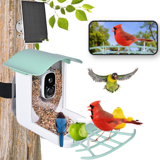 Outdoor Waterproof Solar Charging Video Birds Feeder