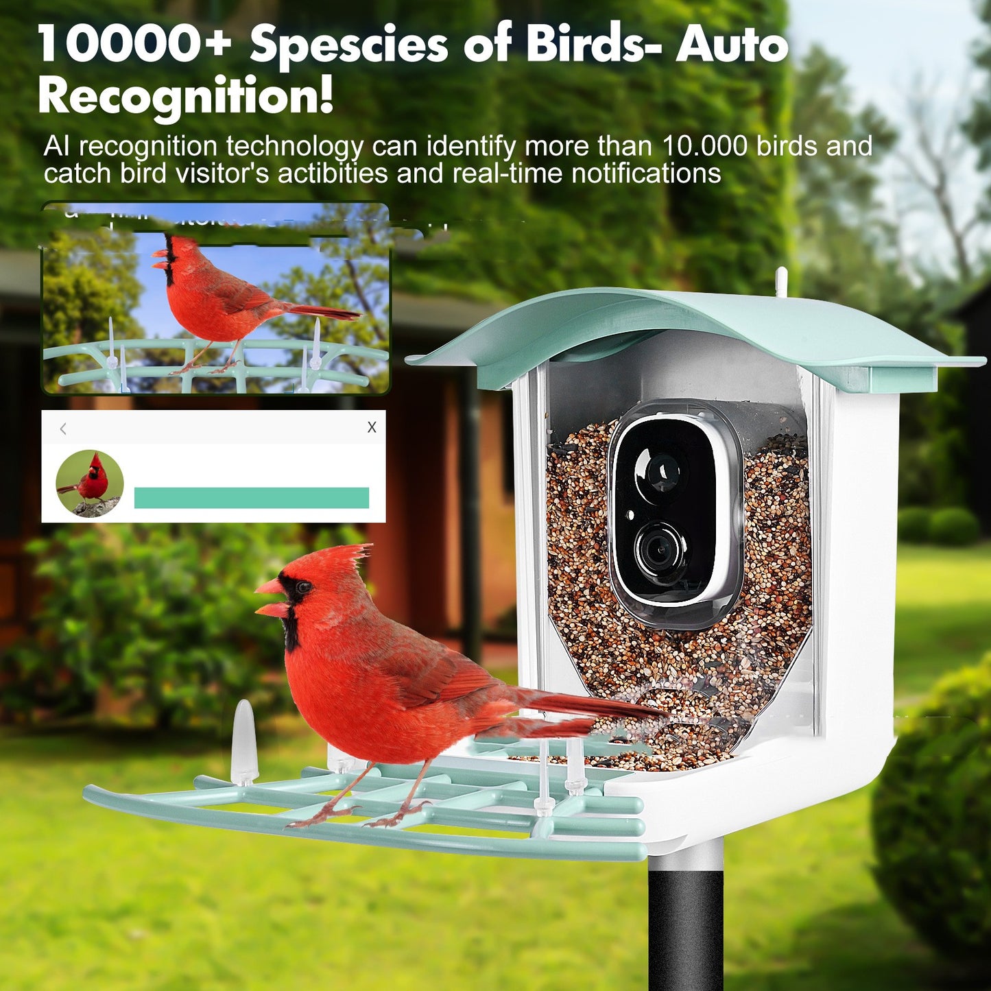 Outdoor Waterproof Solar Charging Video Birds Feeder