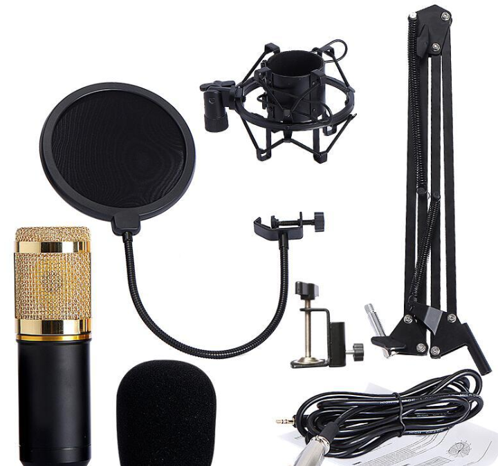 BM800 microphone set