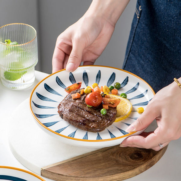 Four Home Steak Western Dinner Plates