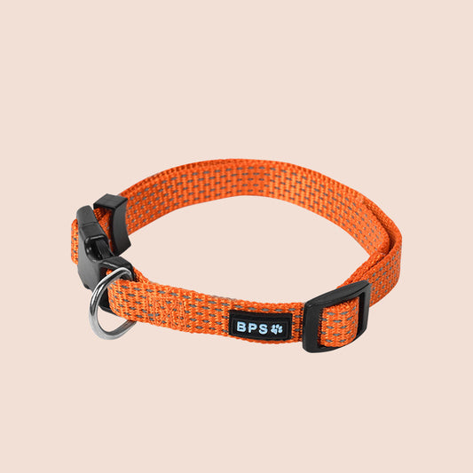 Luminous dog collar collar leash neck collar