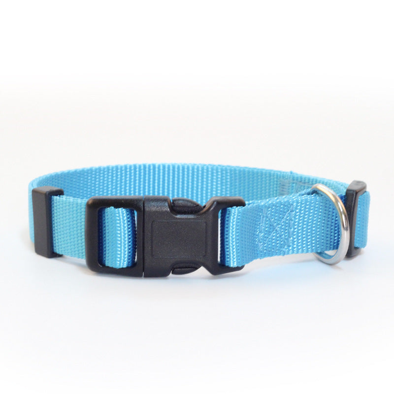 Super durable nylon collar, dog traction collar collar