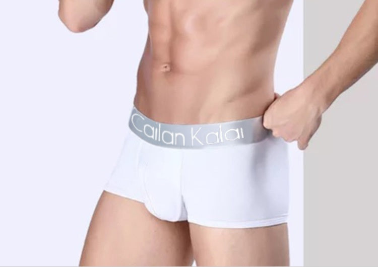 Modal Breathable Boxers For Men