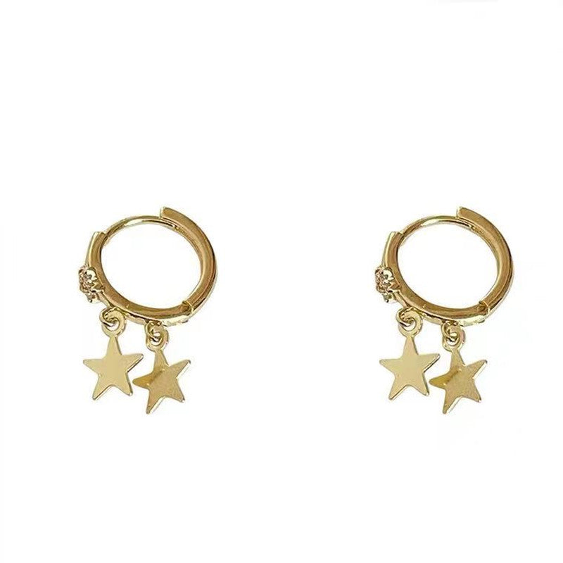 Women's Earrings Elegant Earrings