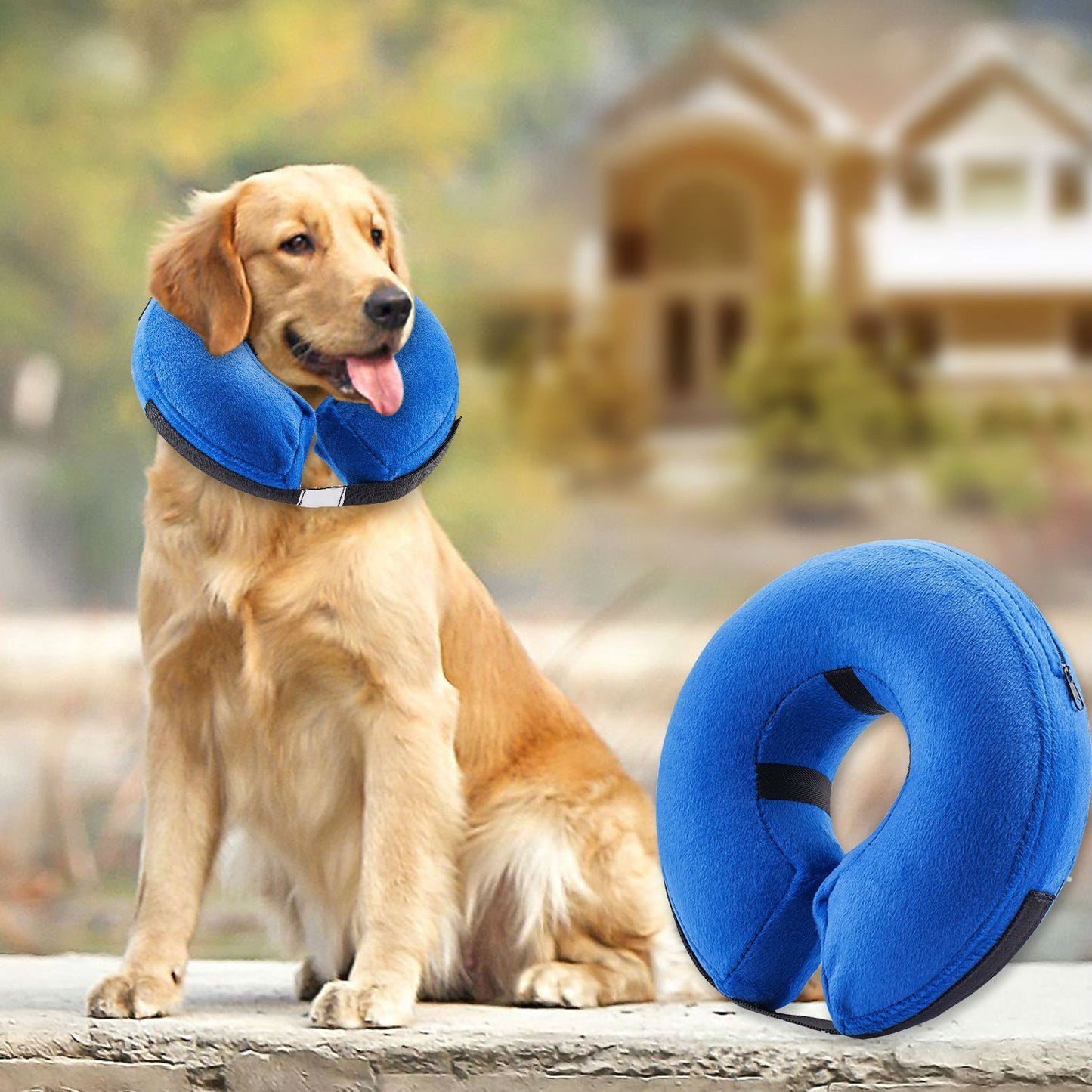 Protective Inflatable Collar for Dogs and Cats