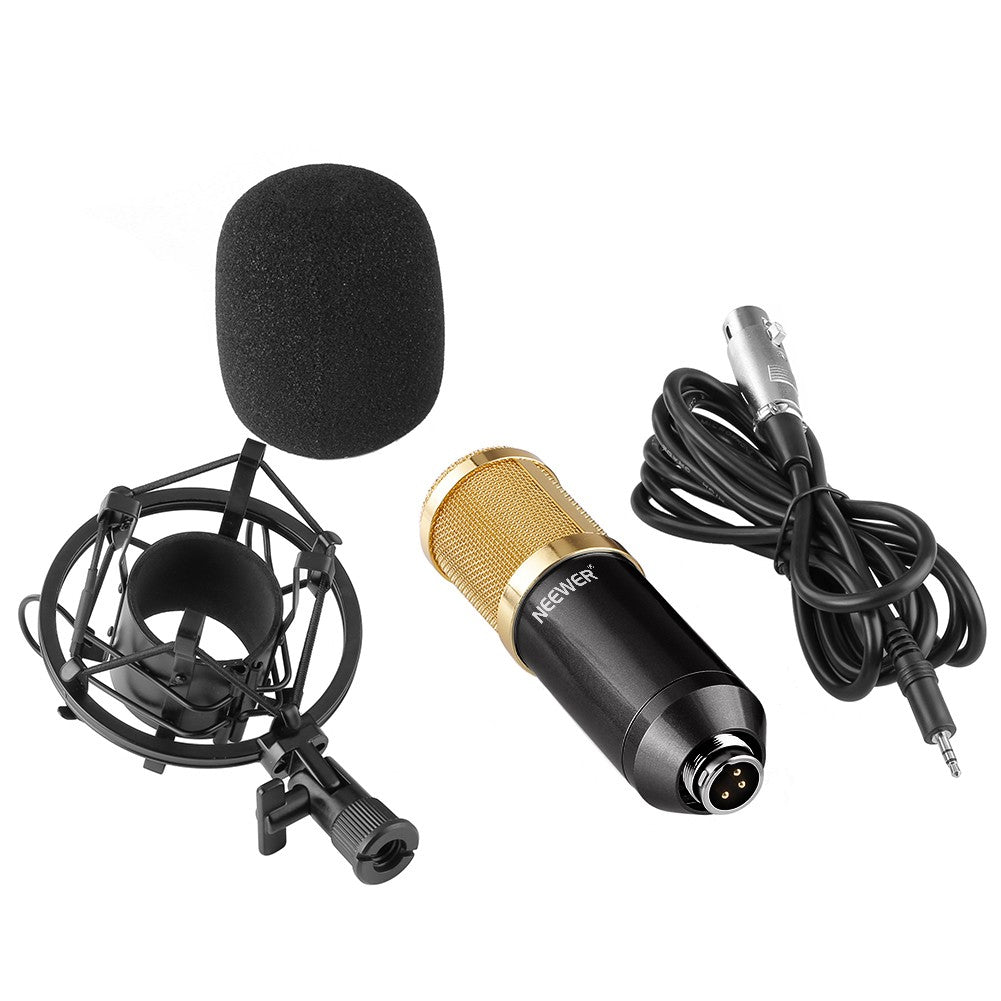 NW 800 CONDENSER MICROPHONE SHOCK MOUNT POWER CAB