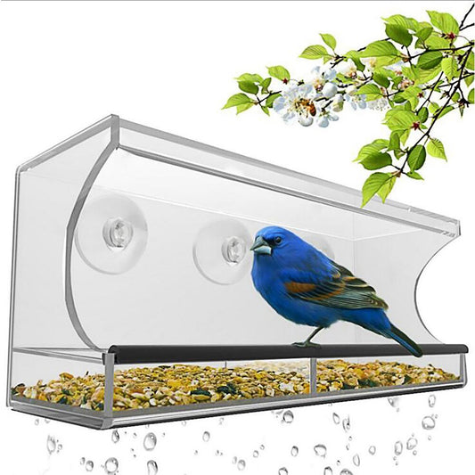 New bird pet feeder