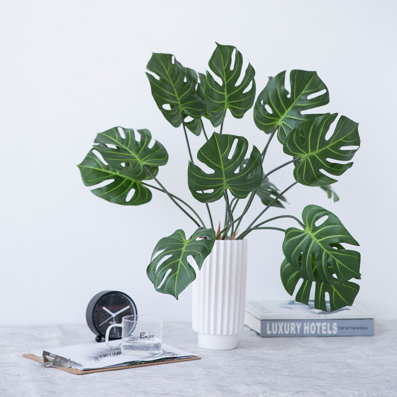 Monstera simulation plant