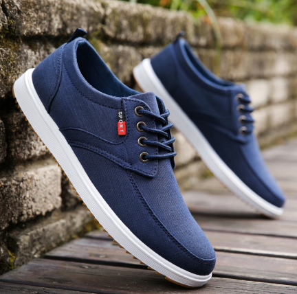 Summer Canvas Breathable  shoes for men