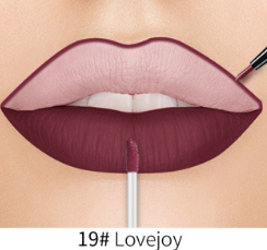 Lip Liner Matte Nonstick Cup Liquid Lipstick Double Lip Gloss Pen