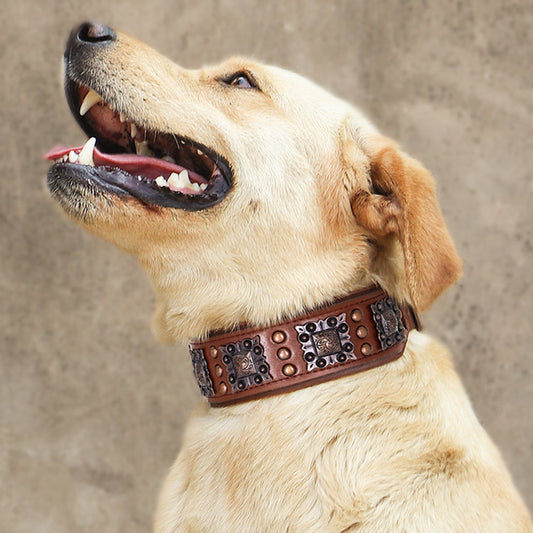 Dog Bite-proof Rivet Collar For Medium And Large Dogs