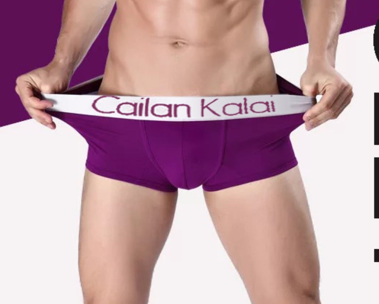 Modal Breathable Boxers For Men