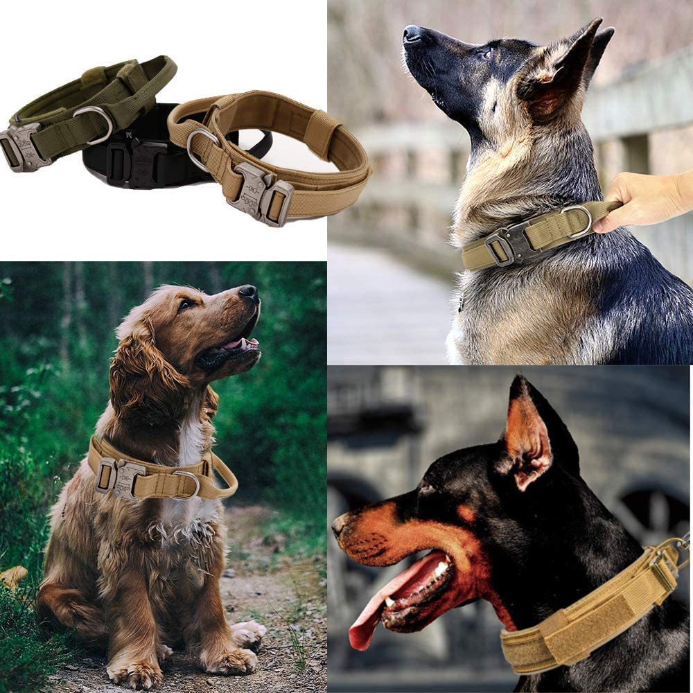 Adjustable Training Collar For Medium And Large Dogs