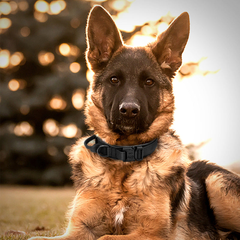 Pet Collar Nylon Medium And Large Dogs