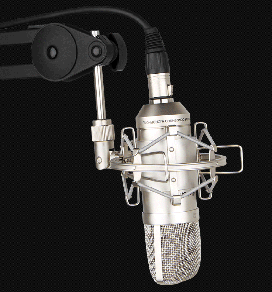 MC001 Professional Condenser Recording Game Desktop Anchor Microphone